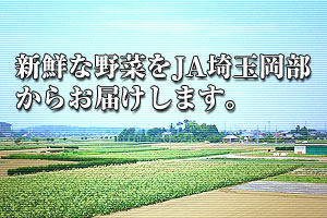 新鮮な野菜をJA埼玉岡部からお届けします。