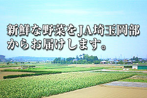 �V�N�Ȗ�؂�JA��ʉ������炨�͂����܂��B