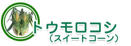 トウモロコシ(スィートコーン)